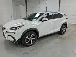 JTJGJRDZ1L2139391 2020 LEXUS NX