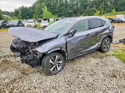 JTJGJRDZ1L2142095 2020 LEXUS NX
