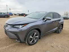 JTJGJRDZ1M2159819 2021 LEXUS NX