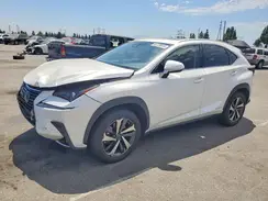 JTJGJRDZ1M5012009 2021 LEXUS NX