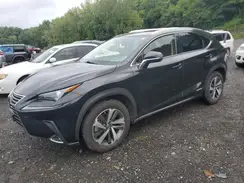 JTJGJRDZ2L2130330 2020 LEXUS NX