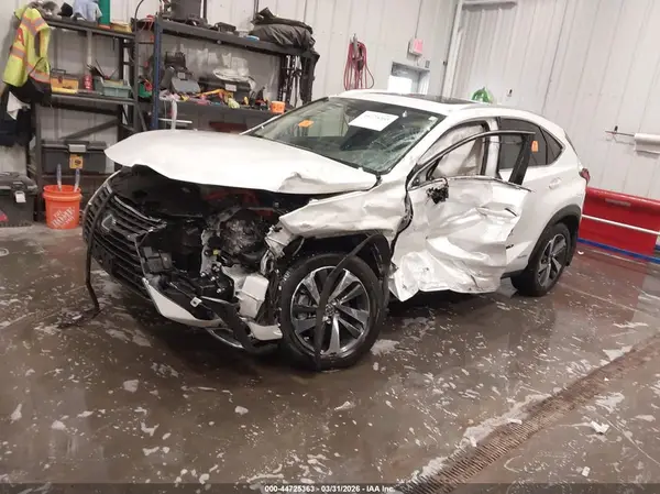 JTJGJRDZ2L5000983 2020 LEXUS NX - Image 2