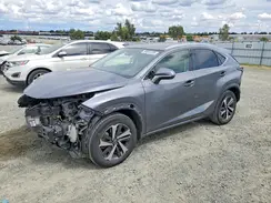 JTJGJRDZ2M2159702 2021 LEXUS NX