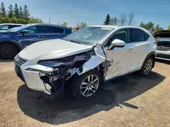 JTJGJRDZ2M2169257 2021 LEXUS NX