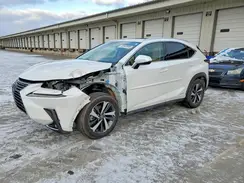 JTJGJRDZ2M5012391 2021 LEXUS NX