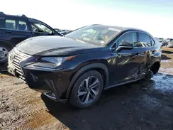 JTJGJRDZ3M2148899 2021 LEXUS NX