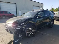 JTJGJRDZ3M2161944 2021 LEXUS NX