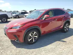JTJGJRDZ3M2166724 2021 LEXUS NX