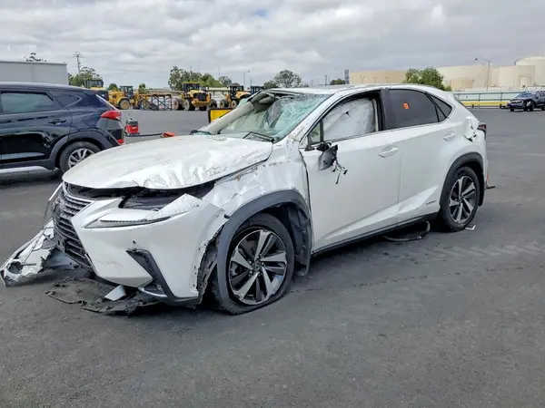 JTJGJRDZ4L2144956 2020 LEXUS NX - Image 1