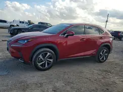 JTJGJRDZ4M5014403 2021 LEXUS NX