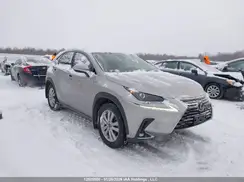JTJGJRDZ5M2161847 2021 LEXUS NX