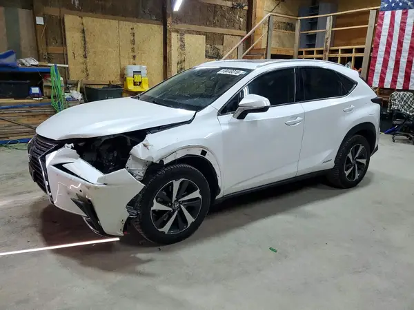 JTJGJRDZ5M2170709 2021 LEXUS NX - Image 1