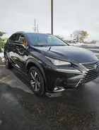 JTJGJRDZ6L5007340 2020 LEXUS NX