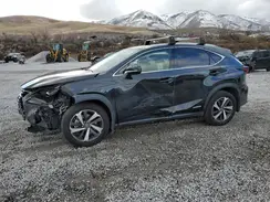 JTJGJRDZ7M2166130 2021 LEXUS NX