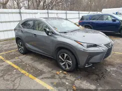 JTJGJRDZ8M2149174 2021 LEXUS NX