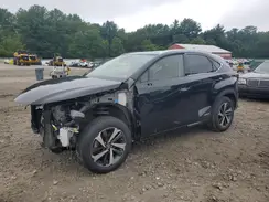 JTJGJRDZ8M2150521 2021 LEXUS NX