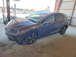 JTJGJRDZ8M2154939 2021 LEXUS NX