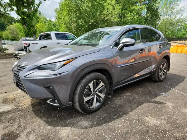 JTJGJRDZ9L2143138 2020 LEXUS NX - Image 1