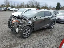 JTJGJRDZ9M2155016 2021 LEXUS NX