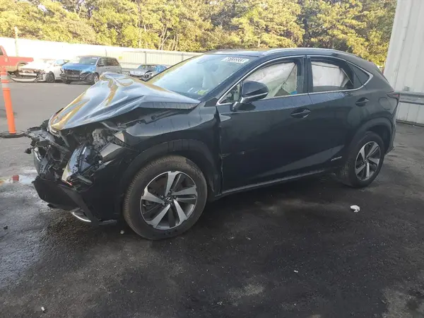 JTJGJRDZXL2129409 2020 LEXUS NX - Image 1