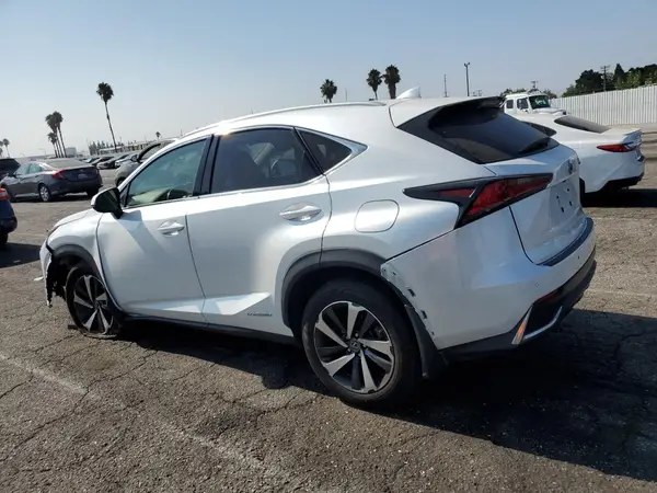 JTJGJRDZXL5006059 2020 LEXUS NX - Image 2