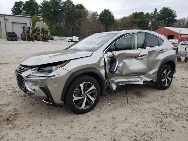 JTJGJRDZXM2165909 2021 LEXUS NX - Image 1