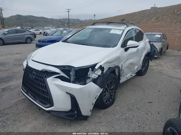 JTJGKCEZ0P2015191 2023 LEXUS NX - Image 2