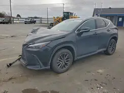 JTJGKCEZ0P5008451 2023 LEXUS NX