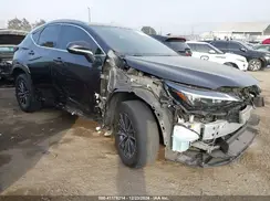 JTJGKCEZ0R2028882 2024 LEXUS NX
