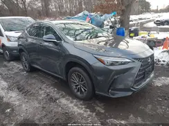 JTJGKCEZ0R5010297 2024 LEXUS NX
