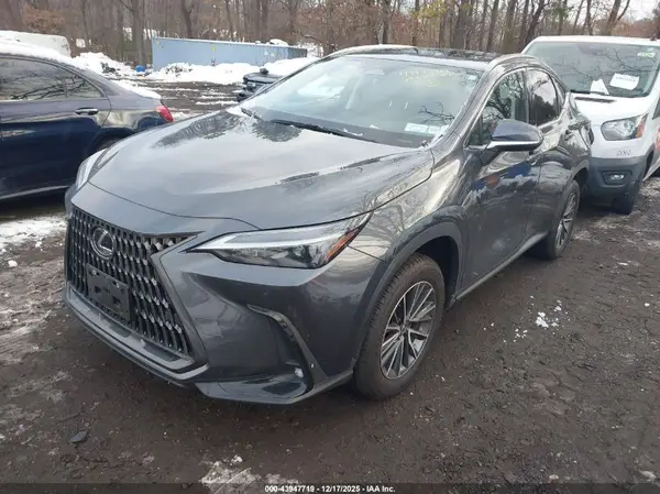 JTJGKCEZ0R5010297 2024 LEXUS NX - Image 2