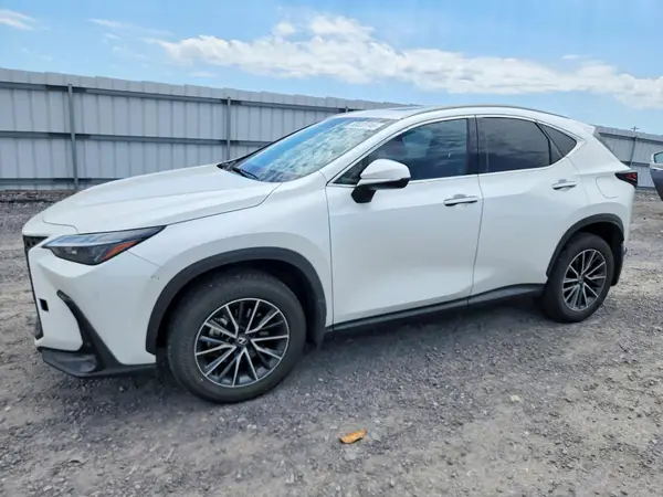 JTJGKCEZ0R5011143 2024 LEXUS NX - Image 1