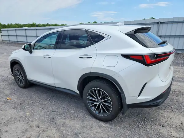 JTJGKCEZ0R5011143 2024 LEXUS NX - Image 2