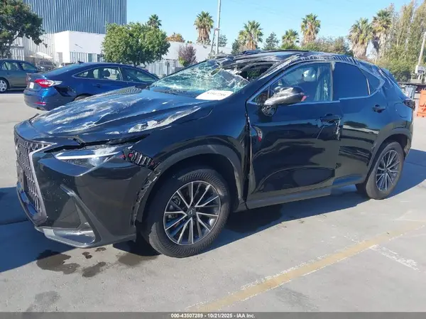 JTJGKCEZ0R5015600 2024 LEXUS NX - Image 2