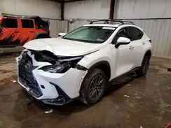 JTJGKCEZ0R5017802 2024 LEXUS NX