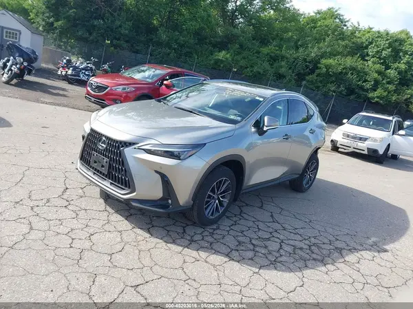JTJGKCEZ0R5019114 2024 LEXUS NX - Image 2