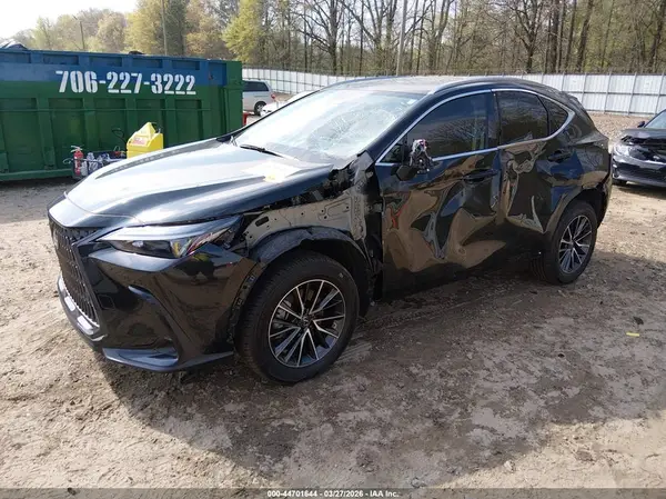 JTJGKCEZ0R5020456 2024 LEXUS NX - Image 2