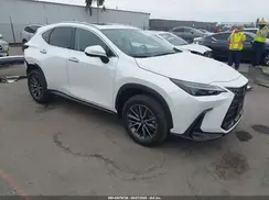 JTJGKCEZ0S2063962 2025 LEXUS NX
