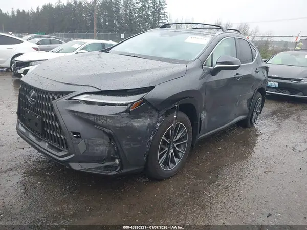 JTJGKCEZ0S2065890 2025 LEXUS NX - Image 2