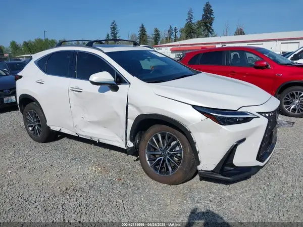 JTJGKCEZ0S5029339 2025 LEXUS NX - Image 1