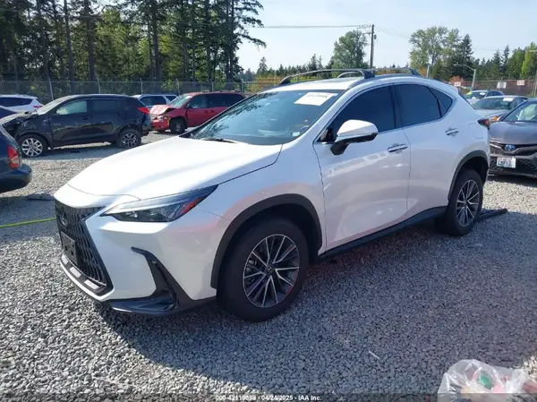 JTJGKCEZ0S5029339 2025 LEXUS NX - Image 2