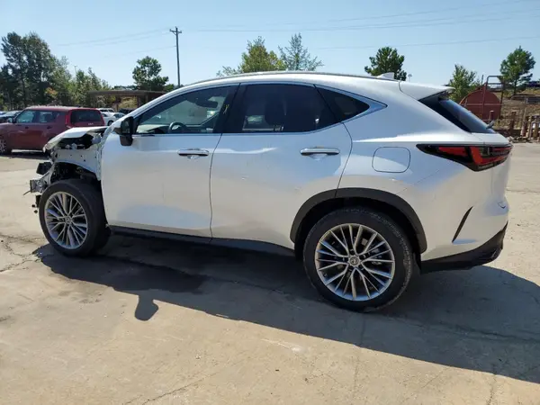 JTJGKCEZ1N5002641 2022 LEXUS NX - Image 2