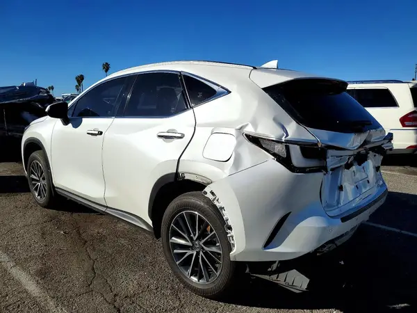 JTJGKCEZ1R2033489 2024 LEXUS NX - Image 2