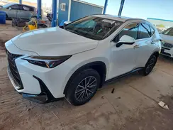 JTJGKCEZ1R5010521 2024 LEXUS NX