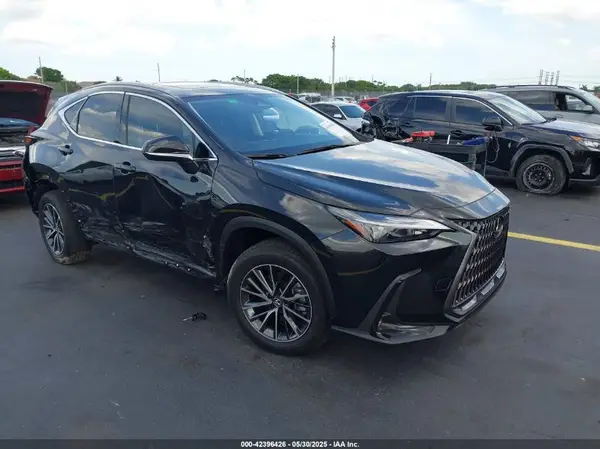 JTJGKCEZ1R5013810 2024 LEXUS NX - Image 1