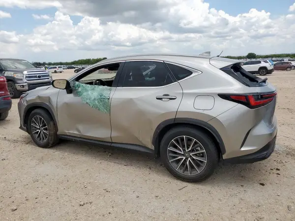 JTJGKCEZ1R5016657 2024 LEXUS NX - Image 2