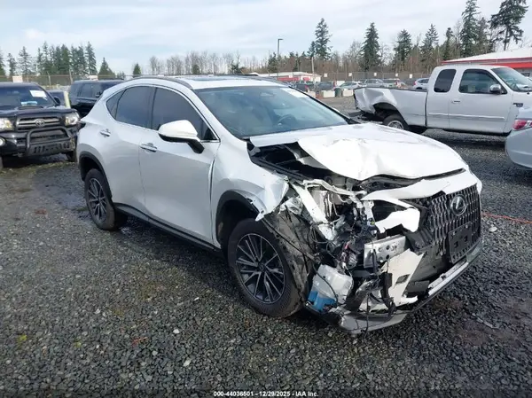 JTJGKCEZ1R5018215 2024 LEXUS NX - Image 1