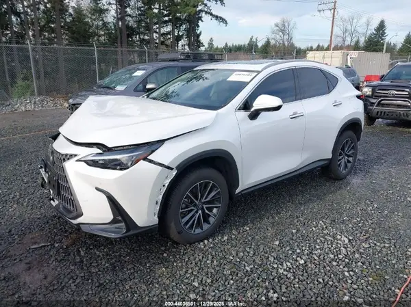 JTJGKCEZ1R5018215 2024 LEXUS NX - Image 2