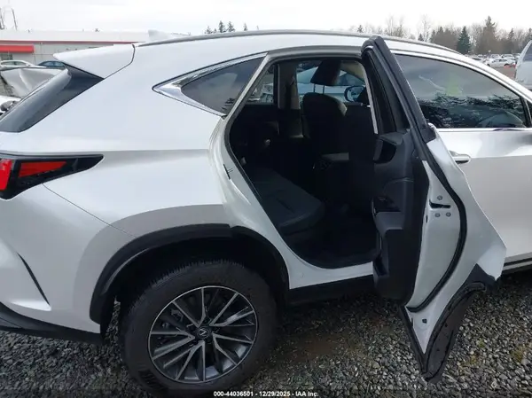 JTJGKCEZ1R5018215 2024 LEXUS NX - Image 8