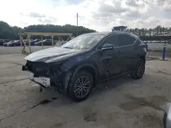 JTJGKCEZ1R5018263 2024 LEXUS NX